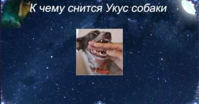 Толкование сна: собака, укусившая и потерянная рука. Смотреть фото Толкование сна: собака, укусившая и потерянная рука. Смотреть картинку Толкование сна: собака, укусившая и потерянная рука. Картинка про Толкование сна: собака, укусившая и потерянная рука. Фото Толкование сна: собака, укусившая и потерянная рука